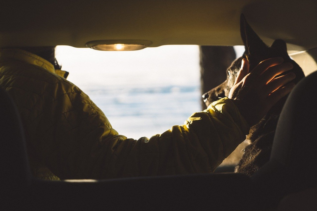 man and dog in car