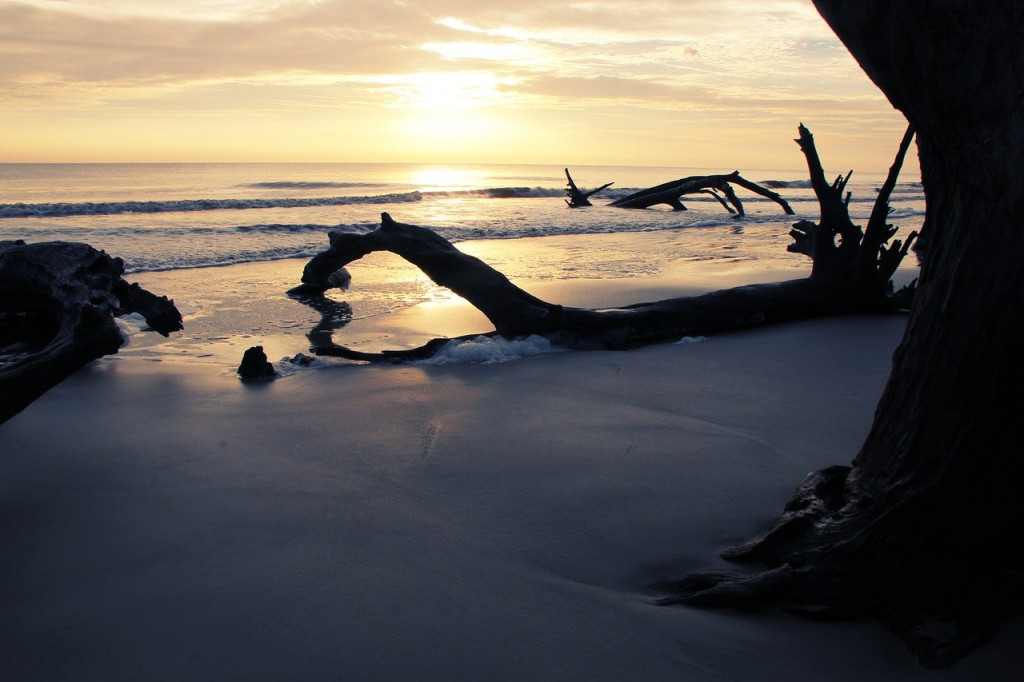 jekyll-island